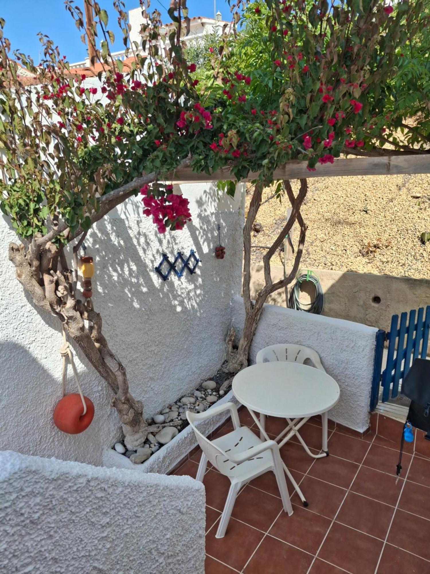 Bungalow Casiopea Internet 300 Mb Sat Smarttv El Campello Extérieur photo